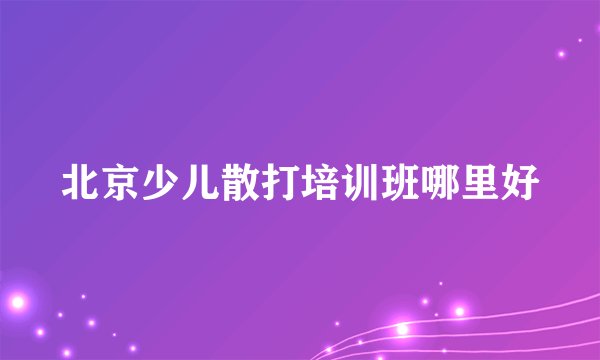 北京少儿散打培训班哪里好