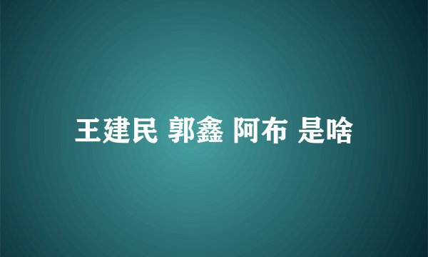 王建民 郭鑫 阿布 是啥