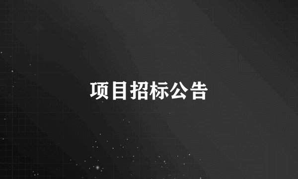 项目招标公告