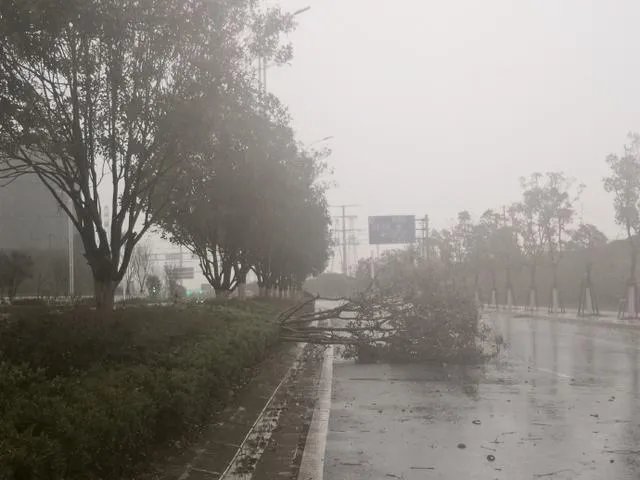 在3月31日凌晨，南昌突降大冰雹， 冰雹天出行该注意些什么？