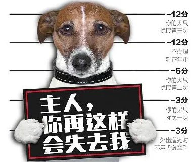 济南养犬积分制是怎么回事？