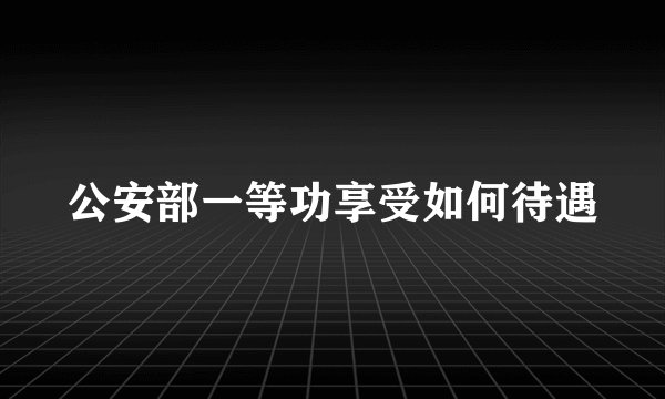 公安部一等功享受如何待遇