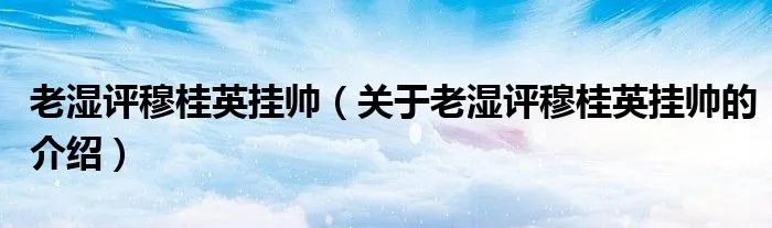 老湿评穆桂英挂帅（关于老湿评穆桂英挂帅的介绍）