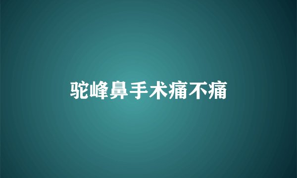 驼峰鼻手术痛不痛