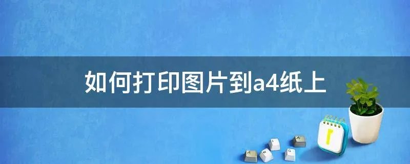 如何打印图片到a4纸上