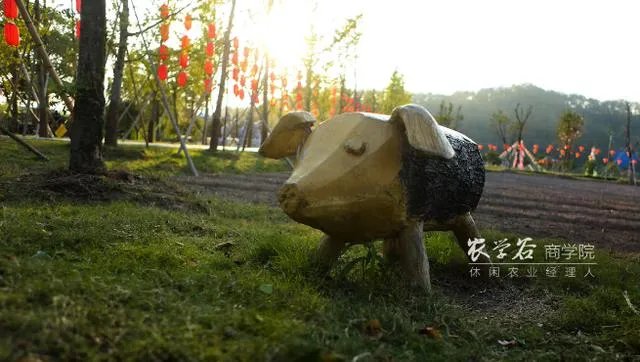 火鸡养殖前景怎么样？