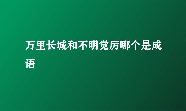 万里长城和不明觉厉哪个是成语