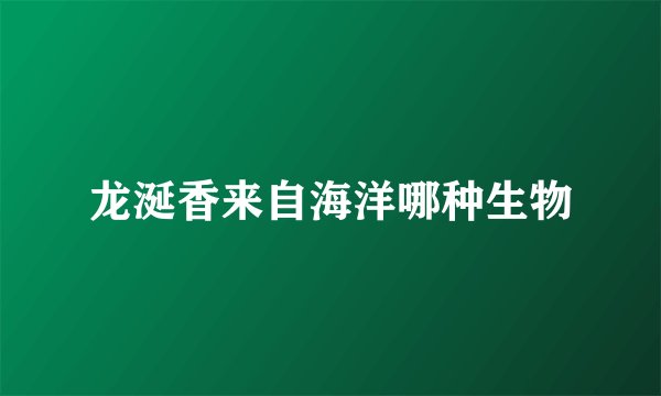 龙涎香来自海洋哪种生物