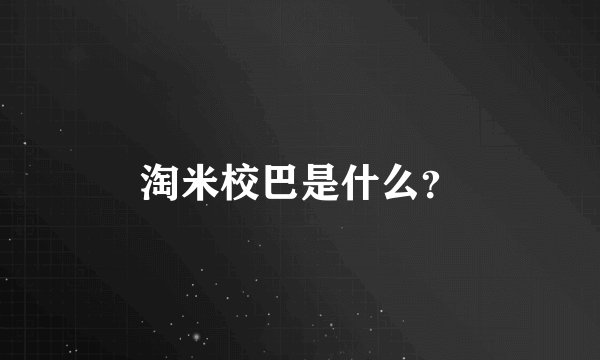 淘米校巴是什么？