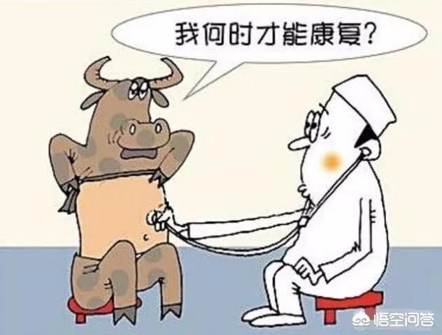 股票的领涨板块都有什么特征?