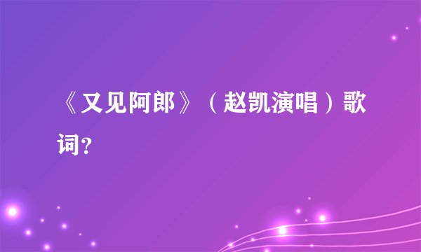 《又见阿郎》（赵凯演唱）歌词？
