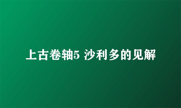 上古卷轴5 沙利多的见解