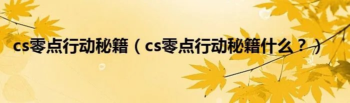 cs零点行动秘籍（cs零点行动秘籍什么？）