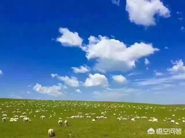 为什么呼伦贝尔只有两个月的旅游旺季，和别的月份有什么区别？
