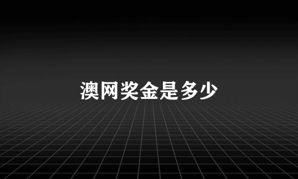 澳网奖金是多少