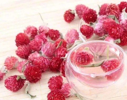 红巧梅和菊花一起泡着喝可以吗？