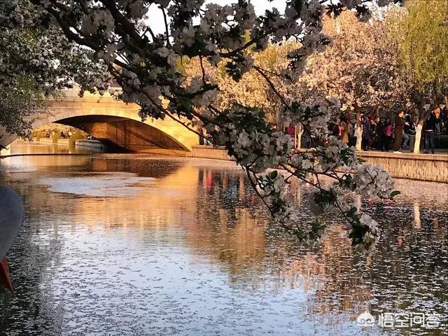 春风十里不如赏花,北京赏花指南是什么?