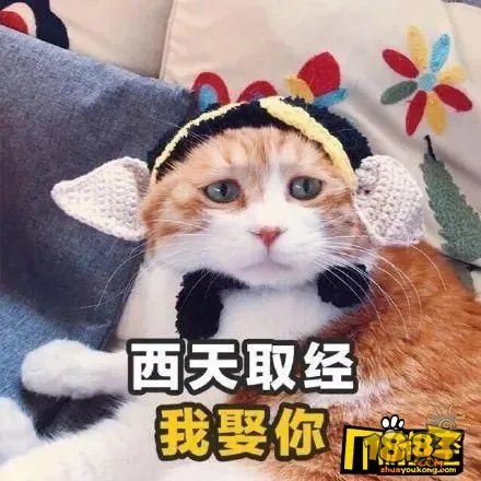 2018最新土味情话套路_2018最新撩人套路情话