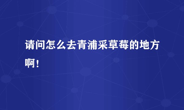 请问怎么去青浦采草莓的地方啊！