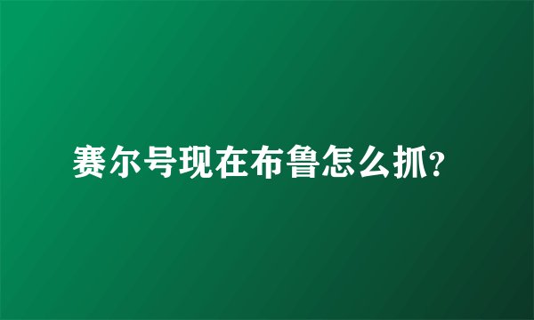 赛尔号现在布鲁怎么抓？