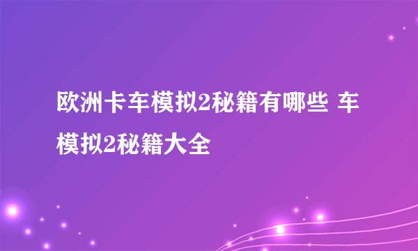 欧洲卡车模拟2秘籍有哪些 车模拟2秘籍大全