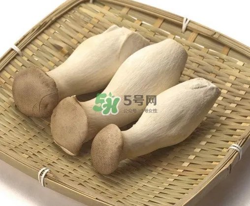 杏鲍菇有什么营养价值?杏鲍菇产地在哪里