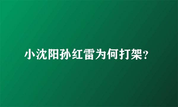 小沈阳孙红雷为何打架?