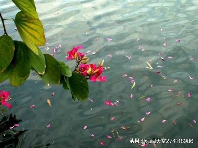 《黄鹤楼》这首诗有什么意境?