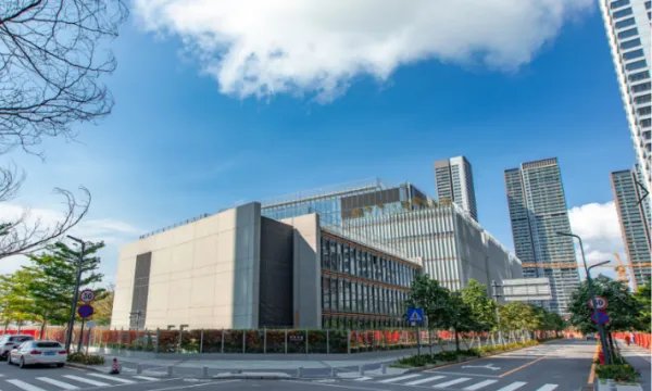 深圳国际学校排名前十