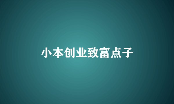 小本创业致富点子