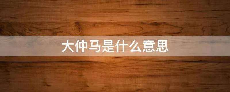 大仲马是什么意思