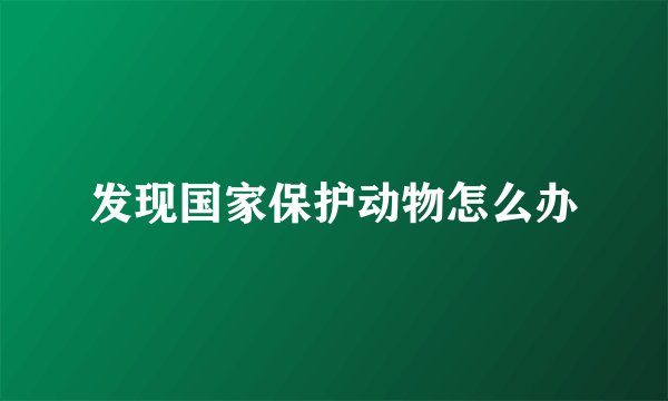 发现国家保护动物怎么办