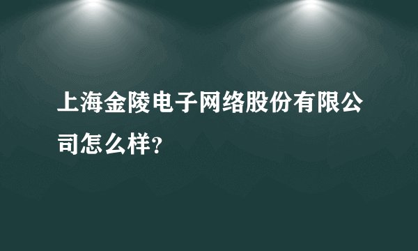 上海金陵电子网络股份有限公司怎么样？