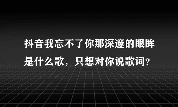 抖音我忘不了你那深邃的眼眸是什么歌，只想对你说歌词？