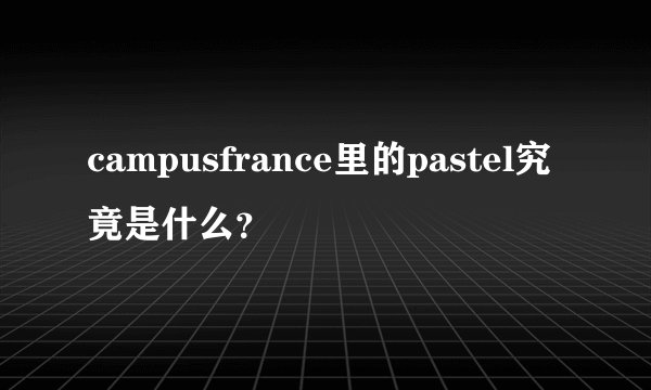 campusfrance里的pastel究竟是什么？