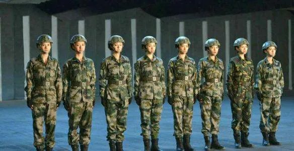特种兵之火凤凰主要演的什么剧情？