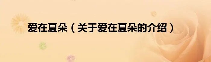 爱在夏朵(关于爱在夏朵的介绍)
