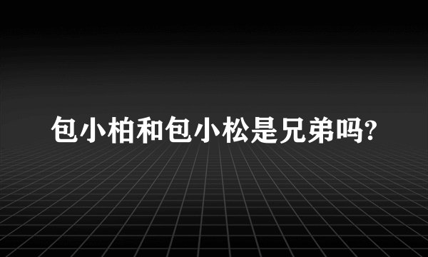 包小柏和包小松是兄弟吗?