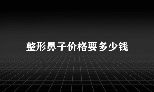 整形鼻子价格要多少钱
