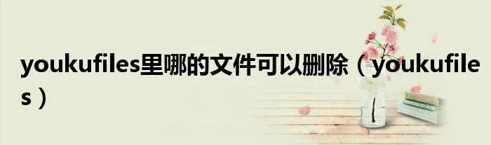 youkufiles里哪的文件可以删除(youkufiles)