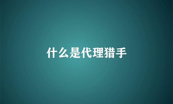 什么是代理猎手