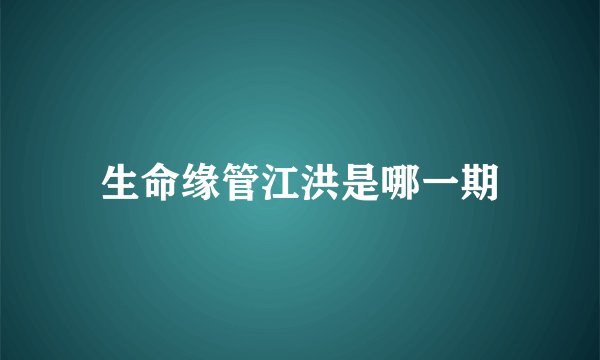 生命缘管江洪是哪一期
