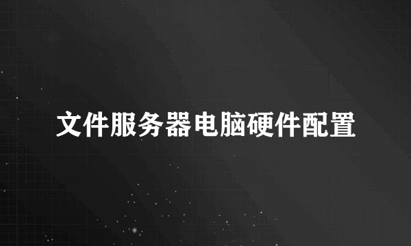 文件服务器电脑硬件配置