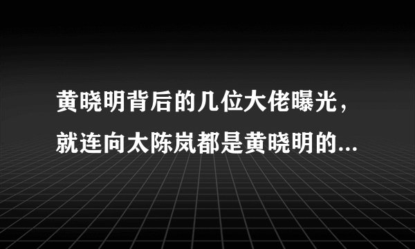 黄晓明背后的几位大佬曝光，就连向太陈岚都是黄晓明的干妈，这一位就更厉害了!