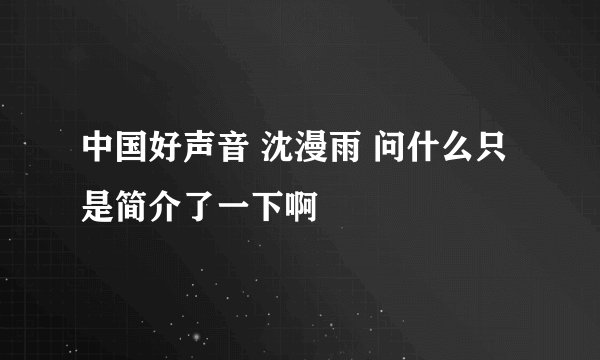 中国好声音 沈漫雨 问什么只是简介了一下啊