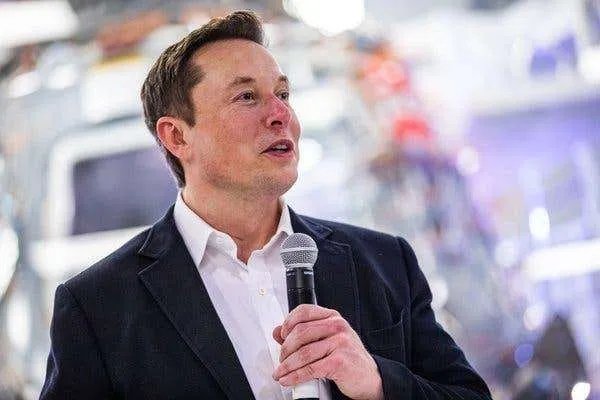 特斯拉被禁止大肆砍伐森林,其原因是什么?
