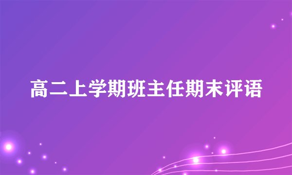 高二上学期班主任期末评语
