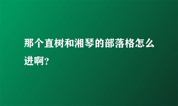 那个直树和湘琴的部落格怎么进啊？