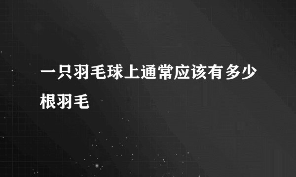 一只羽毛球上通常应该有多少根羽毛