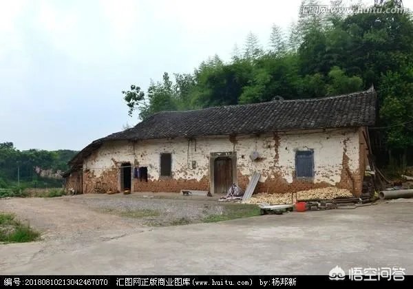 你们农村致富故事有哪些?